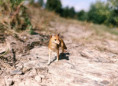 /album/fotogalerie-moje-outside-prace-/martinh-collection-outdoorphotos-august-2025-11-jpg/